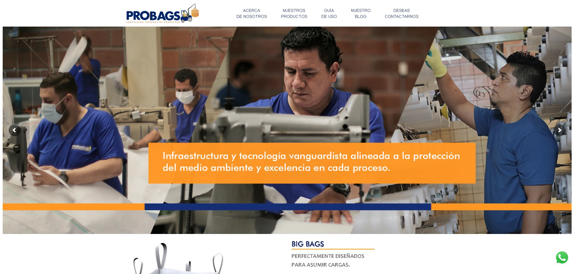 Probagsa Website: Buscador de producto